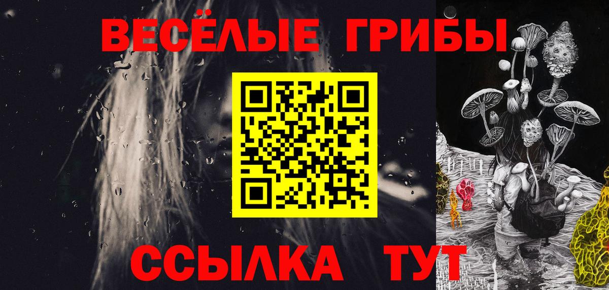 Арзамас  Псилоцибиновые грибы Psilocybe  Вход с VPN  Галлюциногенные грибы прущие грибы 